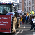 Сделката с Меркосур очертава разломи в европейската аграрна политика и нужда от компенсации за фермерите, смятат от бранша