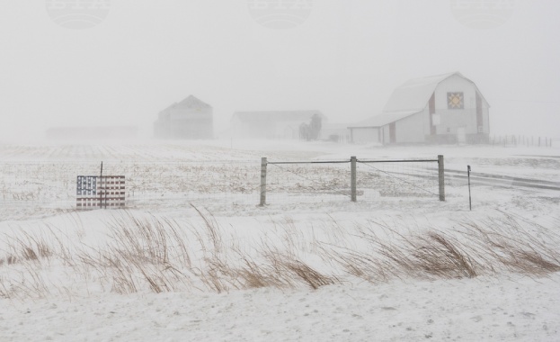 Силна зимна буря в САЩ остави без електроснабдяване повече от