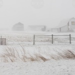 Силна зимна буря в САЩ остави повече от 250 000 домакинства без електроснабдяване и причини отмяна на хиляди полети