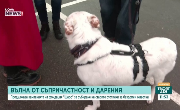 Вероника Янева от организацията с радост сподели че даренията тежат