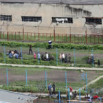 Отстраниха шефа на Софийския затвор, предложил освобождаването на Брендо