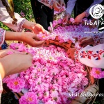 Министерството на туризма застана зад кандидатурата на наследството от Розовата долина за ЮНЕСКО