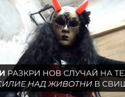 Сдружение „КАЖИ“ разкри нов случай на тежко насилие над животни в Свищов