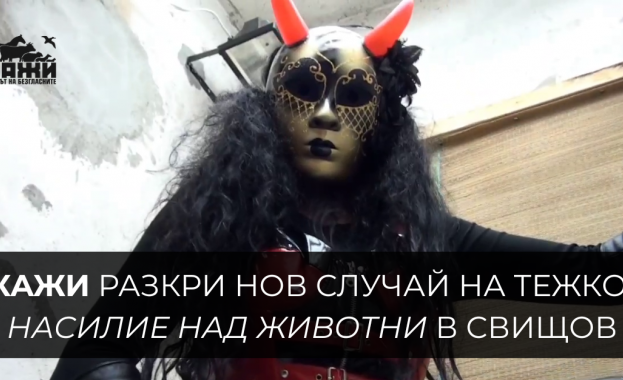 Българката във видеата била легенда в групите в тъмната мрежа