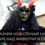 Сдружение „КАЖИ“ разкри нов случай на тежко насилие над животни в Свищов