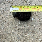 Специализиран екип от Сухопътните войски обезвреди ръчна граната в област Плевен