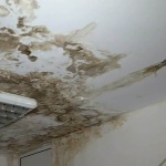 Течащ покрив и вода по стените в детска ясла в Пловдив