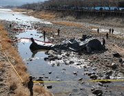 Военен хеликоптер се разби в Южна Корея