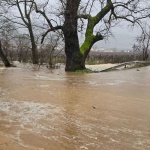 Усложнена обстановка в Петричко заради обилните валежи