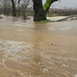 Поройни дъждове в Петрич - какви са щетите?