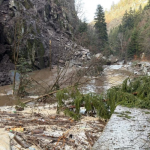 Продължава разчистването на пътя Велинград-Сърница