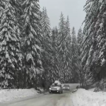 Обстановката в Смолянска област постепенно се нормализира