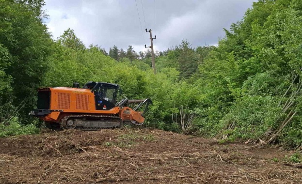 Електроразпределение Север планира да почисти над 1 000 километра просеки