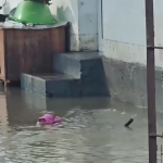 Наводнени къщи и дворове в Хасковска област - как се справят хората?