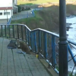 Свличане на скали застрашава крайбрежната алея в Ахтопол