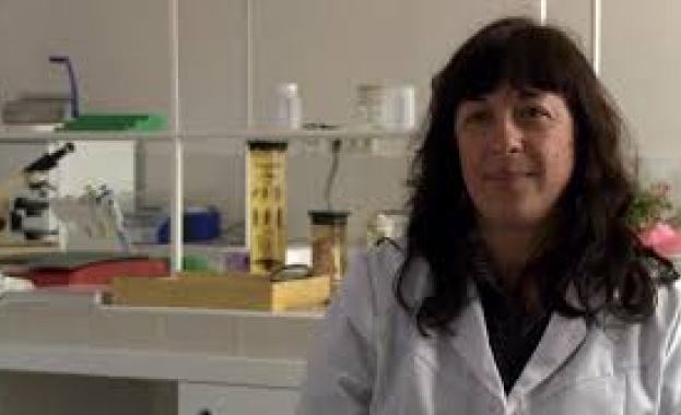 Български учен с престижна международна награда и 1 млн. евро за изследване на рядко заболяване