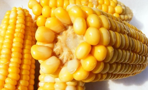 Царевицата - истинска суперхрана