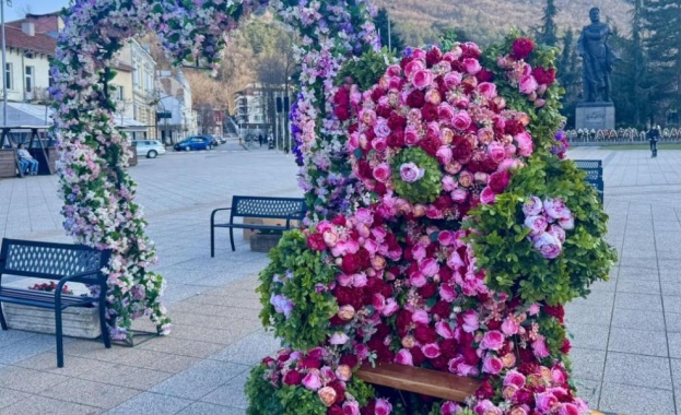 Цветна магия в центъра на Враца в навечерието на 8 март