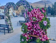 Цветна магия в центъра на Враца в навечерието на 8 март