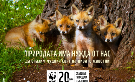 Природата има нужда от нас – юбилейна кампания на WWF ни призовава да я пазим 