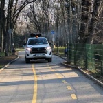 Столичната община започва по-рано обработките срещу кърлежи, комари и гризачи