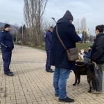 Столичният инспекторат засили контрола: над 340 проверки на стопани на домашни кучета от началото на годината