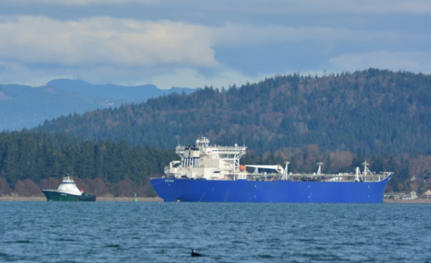 Турски кораб успя да премине през Ормузкия проток, 6 круизни кораба с пътниците си все още са блокирани