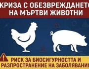 Мъртви животни се трупат във фермите – секторът предупреждава за риск от зарази   