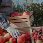 Въвеждане на отговорност на производителите от хранително-вкусовата промишленост