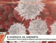 В клопката на анемията