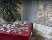 „Библиотека за семена” в село Книжовник съхранява стари български сортове