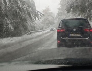 Диана Русинова: На прохода „Петрохан“ е снежен ад