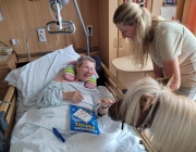 Животни помагат в медицинските заведения и социалните домове във Виена