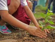 Скъпите горива и торове притискат земеделците: Секторът предупреждава за риск от фалити