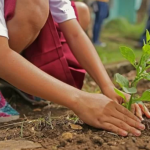 Скъпите горива и торове притискат земеделците: Секторът предупреждава за риск от фалити