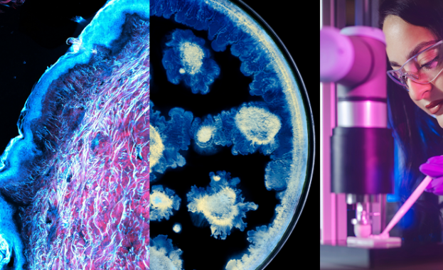 L’Oréal стартира нови изследвания за здравето на кожата със световно признатия научен център Институт „Пастьор“