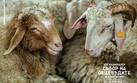 Животни, шоу и състезания на събора на овцевъдите