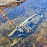 Специализиран екип от Военноморските сили изпълни задача по унищожаване на плаващ дрон