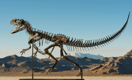 Еволюцията на дишането: Какво разкрива фосил на 289 милиона години