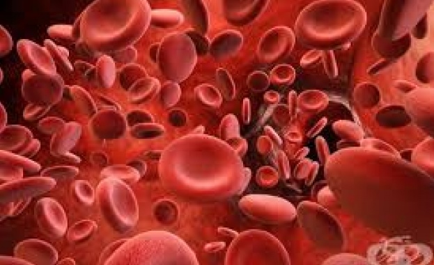 Анемията - изследвания, диагностика и лечение