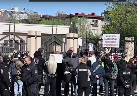 Протест пред Софийския градски съд срещу насилниците на животни