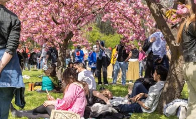 Най-голямата японска градина в Европа е в Букурещ