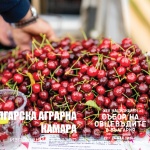 От фермата до трапезата: Националният събор на овцевъдите среща българските производители с потребителите