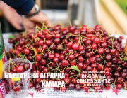 От фермата до трапезата: Националният събор на овцевъдите среща българските производители с потребителите