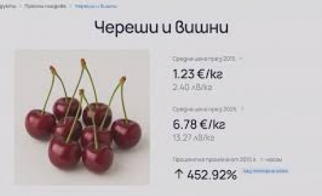 Сайт на българка показва как растат цените, заплатите и имотите у нас