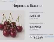 Сайт на българка показва как растат цените, заплатите и имотите у нас