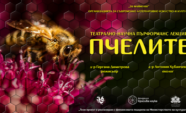 „Пчелите“ – интерактивна пърформанс-лекция за семейна публика представя света на пчелите чрез театър и наука