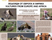 Зоопаркът в София открива „Ден на лешоядите“