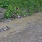 Осем месеца в Добрич газят във фекални води