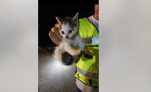 Малкa спасителна акция e организирана вчера в двора на Главна